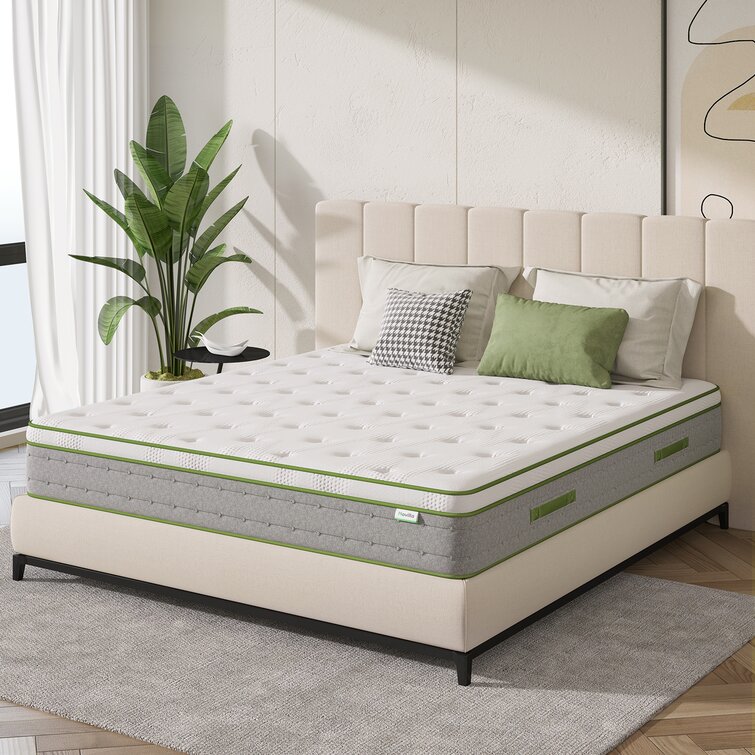 Best consumer outlet rated mattress